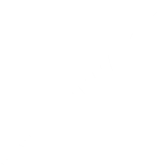 theme_placeholder